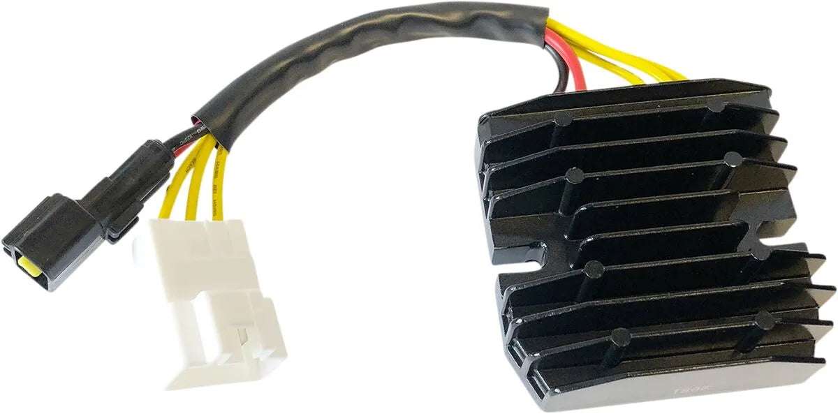 RICK'S MOTORSPORT ELECTRIC Hot Shot Lithium-Ion Kompatibel Regulator bild 1 PMMEDIA:96ffb049d1aff5af