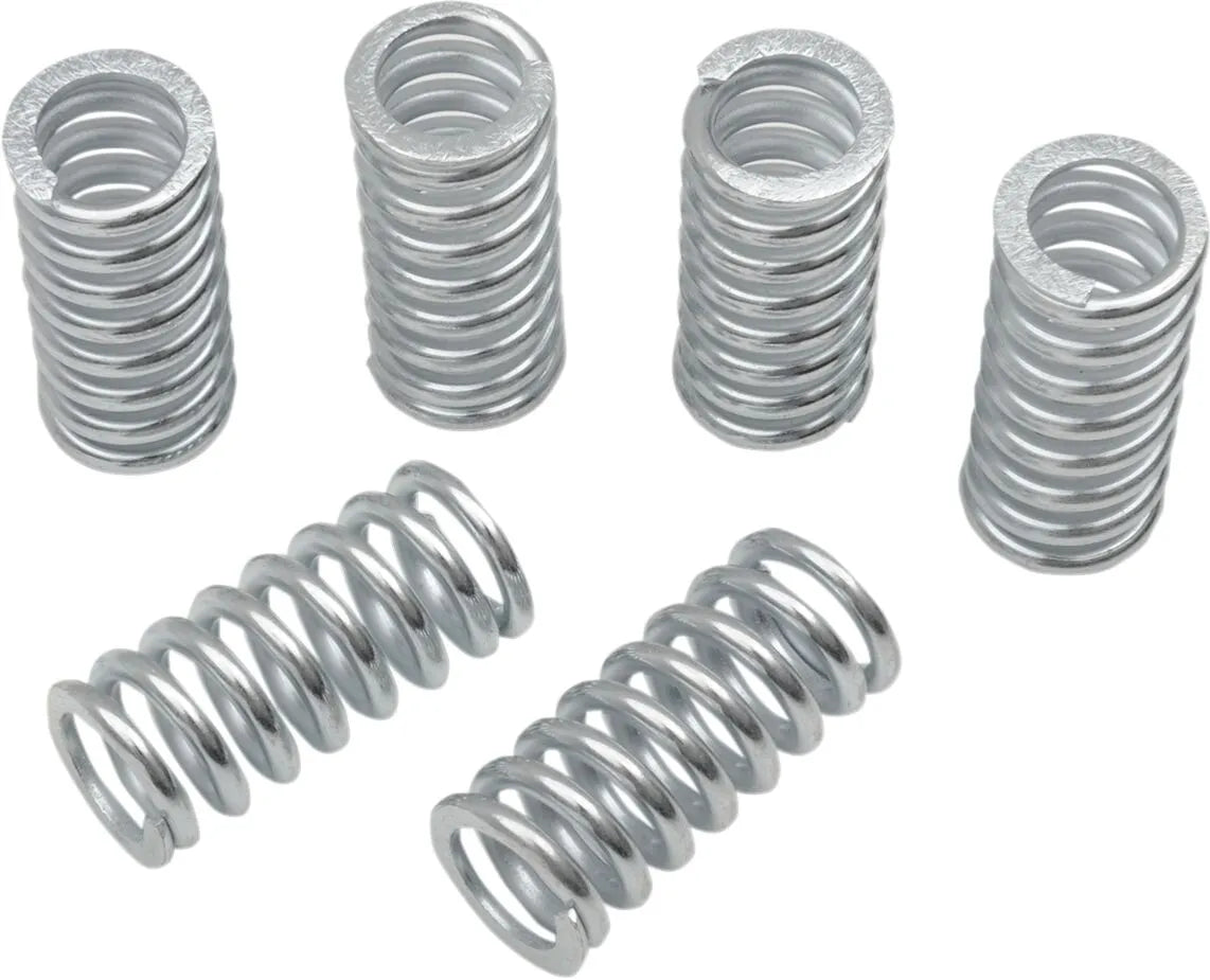 BELT DRIVES LTD. Kopplingsfjädrar 6-pack bild 1 PMMEDIA:92f5b5117f69f387