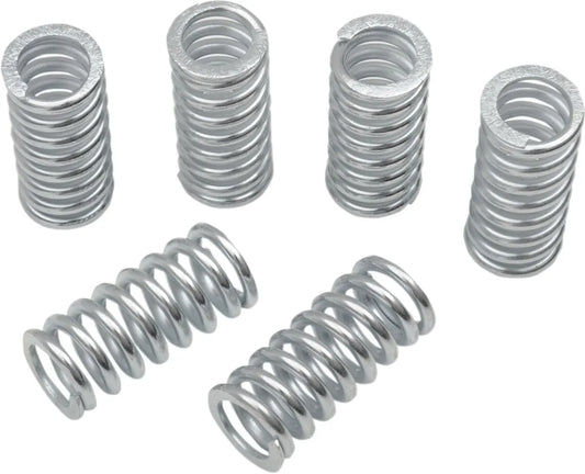 BELT DRIVES LTD. Kopplingsfjädrar 6-pack bild 1 PMMEDIA:92f5b5117f69f387