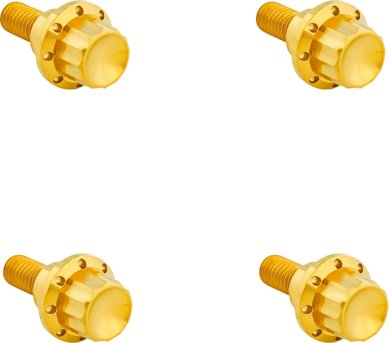 Arlen Ness Windshield Titanium 12-Point Bolt Kit Monteringssats fordonsanpassade bild 2 PMMEDIA:6d0f6fb03c395cd8