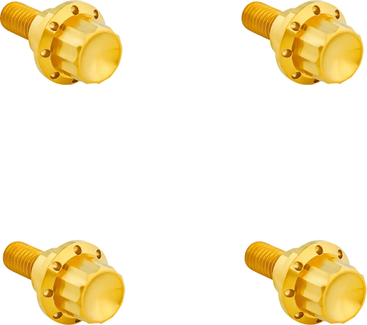 Arlen Ness Windshield Titanium 12-Point Bolt Kit Monteringssats fordonsanpassade bild 2 PMMEDIA:6d0f6fb03c395cd8