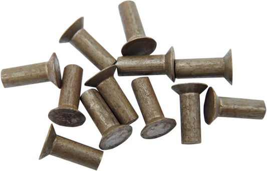 EASTERN MOTORCYCLE PARTS Nit för Kickstart Ratchet Plate bild 1 PMMEDIA:cacc07ea05d75110