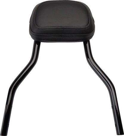 Cobra Detachable Backrest Kit Sissybars bild 15 PMMEDIA:21cf20e533b433c9