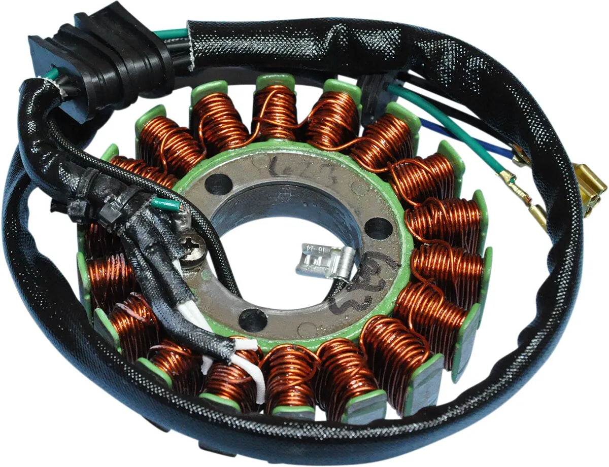 RICK'S MOTORSPORT ELECTRIC Stator Honda bild 1 PMMEDIA:dc244551dfcc65a6