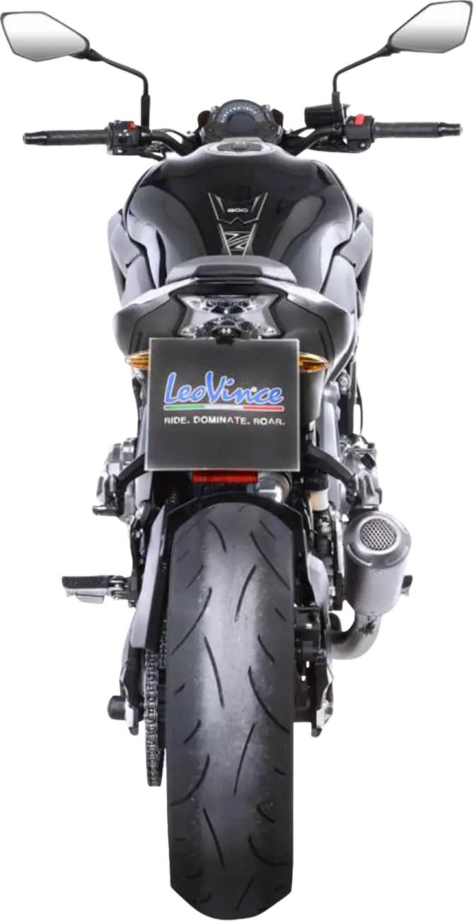 LEOVINCE LV-10 Slip-On Ljuddämpare bild 7 PMMEDIA:5603cd6ab1c25fd5