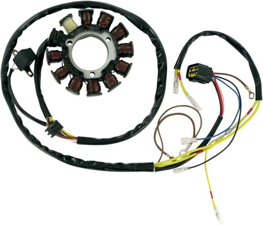 RICK'S MOTORSPORT ELECTRIC Stator Polaris Late bild 1 PMMEDIA:84860de840d6de2c