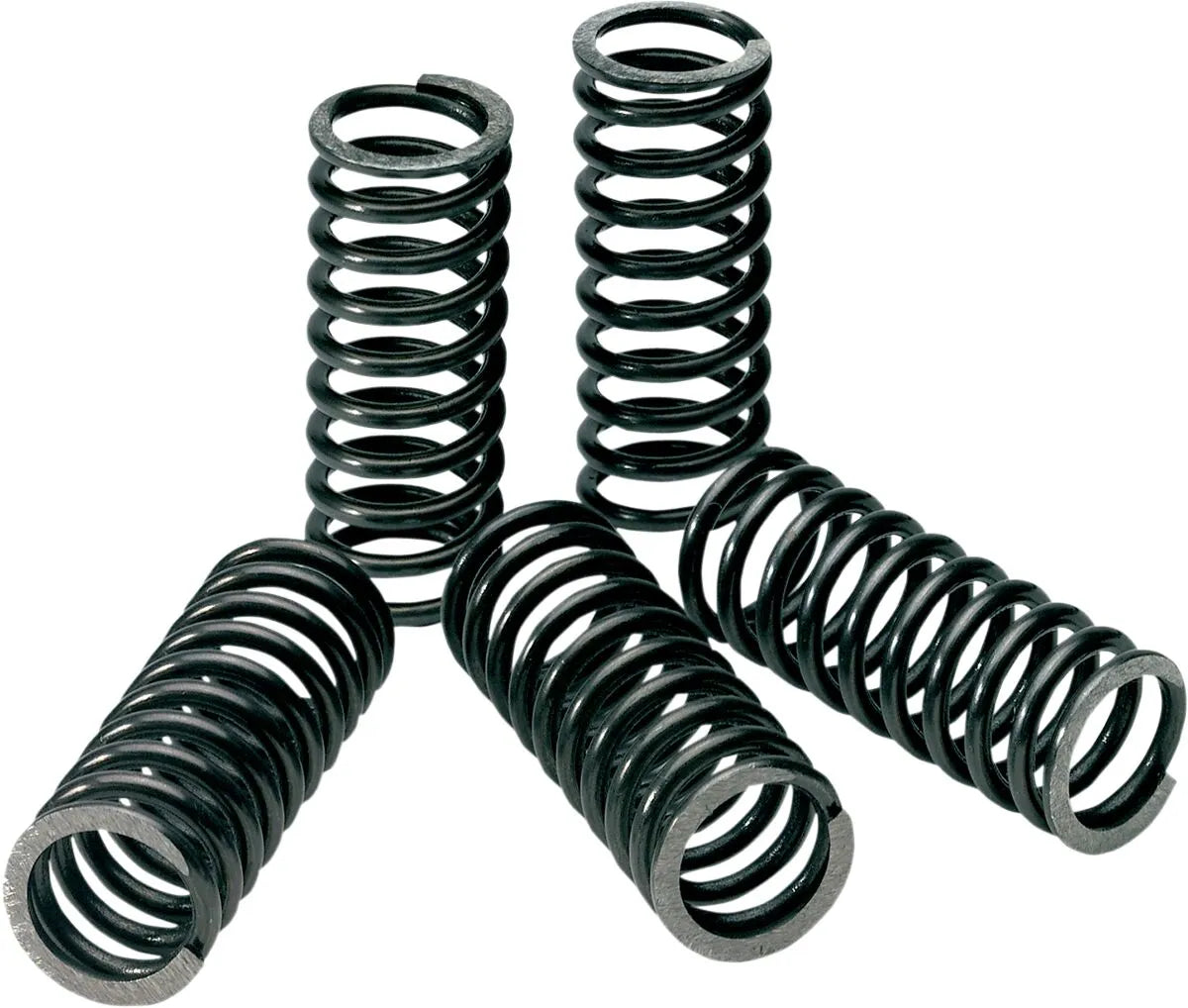 PRO CIRCUIT Kopplingsfjäder Set Kawasaki bild 1 PMMEDIA:acd91f9d9f3d5aed