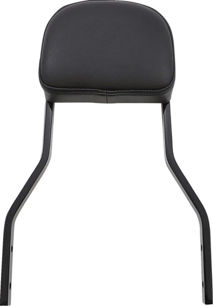 Cobra Detachable Backrest Kit Sissybars bild 17 PMMEDIA:dc6fffa2b7d66323