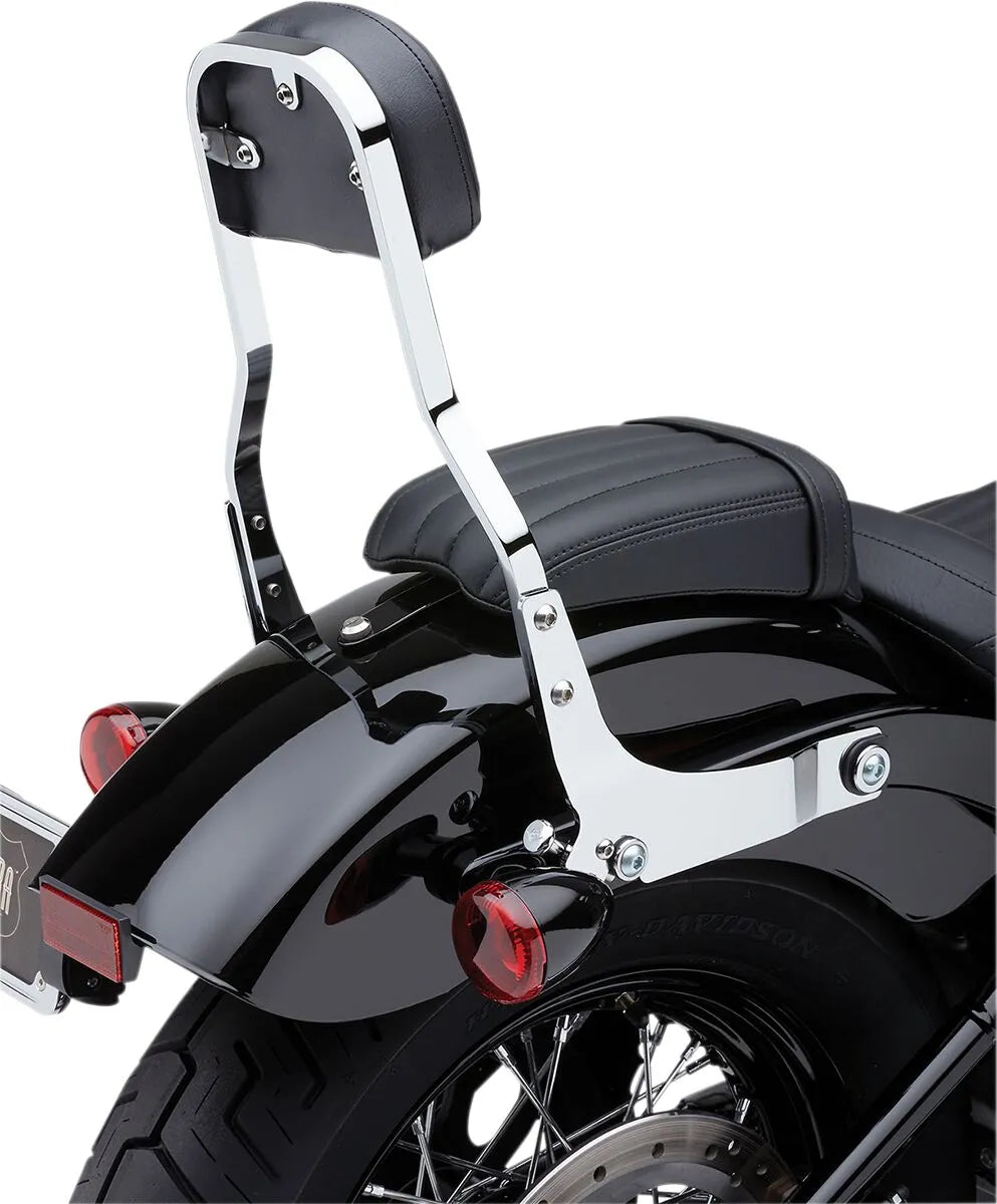Cobra Detachable Backrest Kit Sissybars bild 7 PMMEDIA:71c3d1d498a7a518