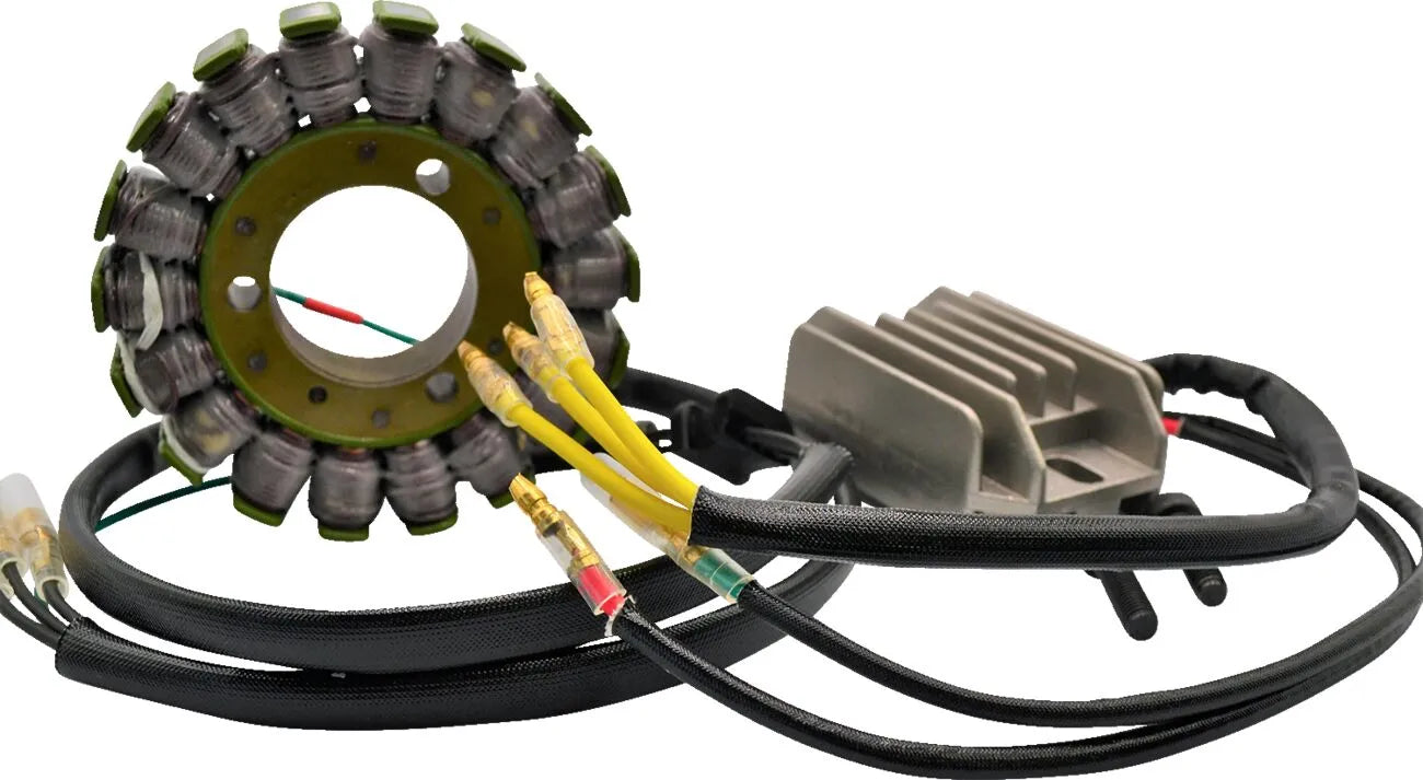 RICK'S MOTORSPORT ELECTRIC Lithium-Ion Laddningskit bild 1 PMMEDIA:17d62cfc9aa41e4d