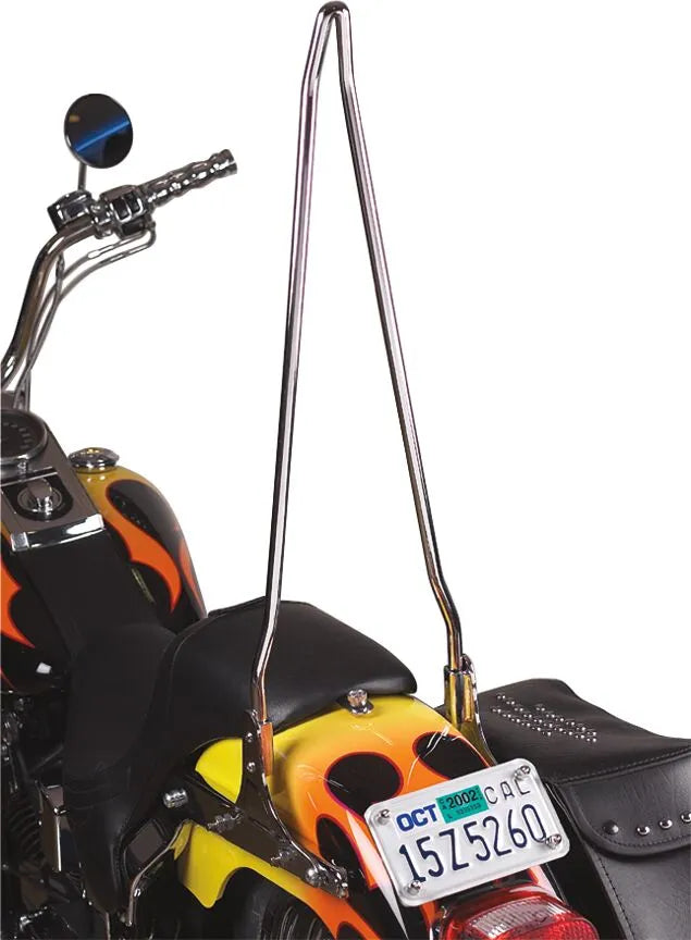 Cycle Visions Attitude Sticks Sissybars bild 4 PMMEDIA:2ab959d473688636