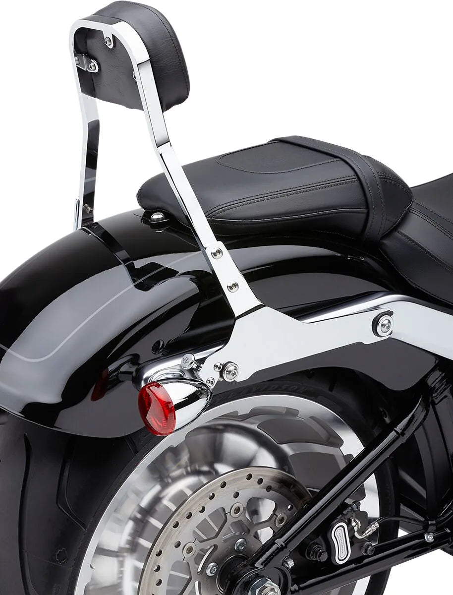 Cobra Detachable Backrest Kit Sissybars bild 11 PMMEDIA:f15190da00216902