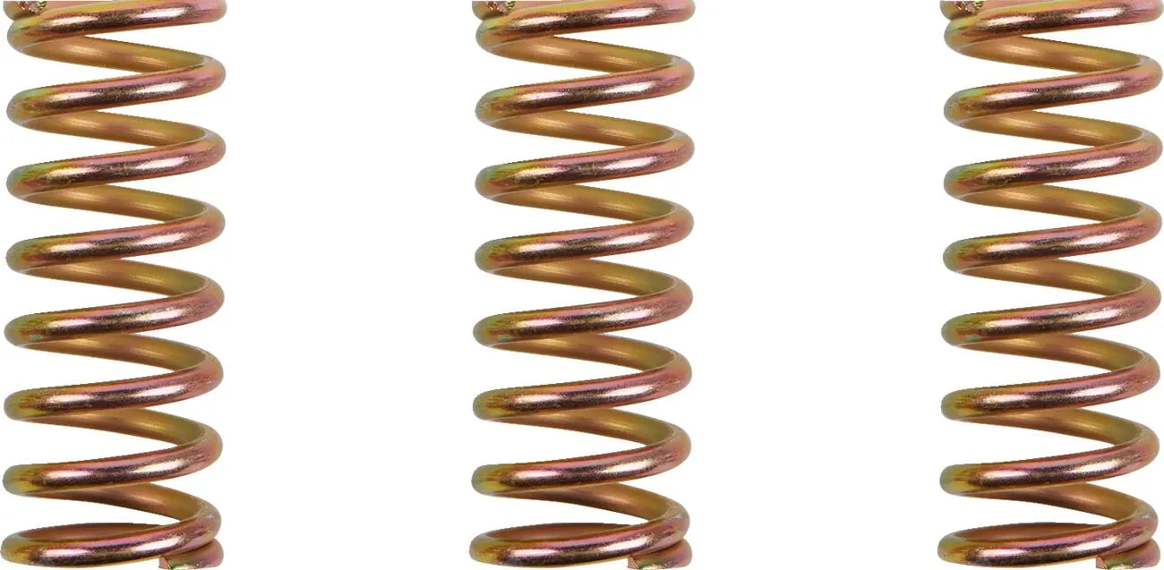 BARNETT Clutch Spring Kit för Ducati bild 1 PMMEDIA:7f2ebe53bdc69731