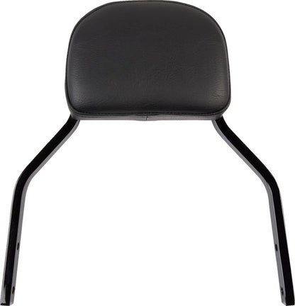 Cobra Detachable Backrest Kit Sissybars bild 12 PMMEDIA:526433b60e17b66d