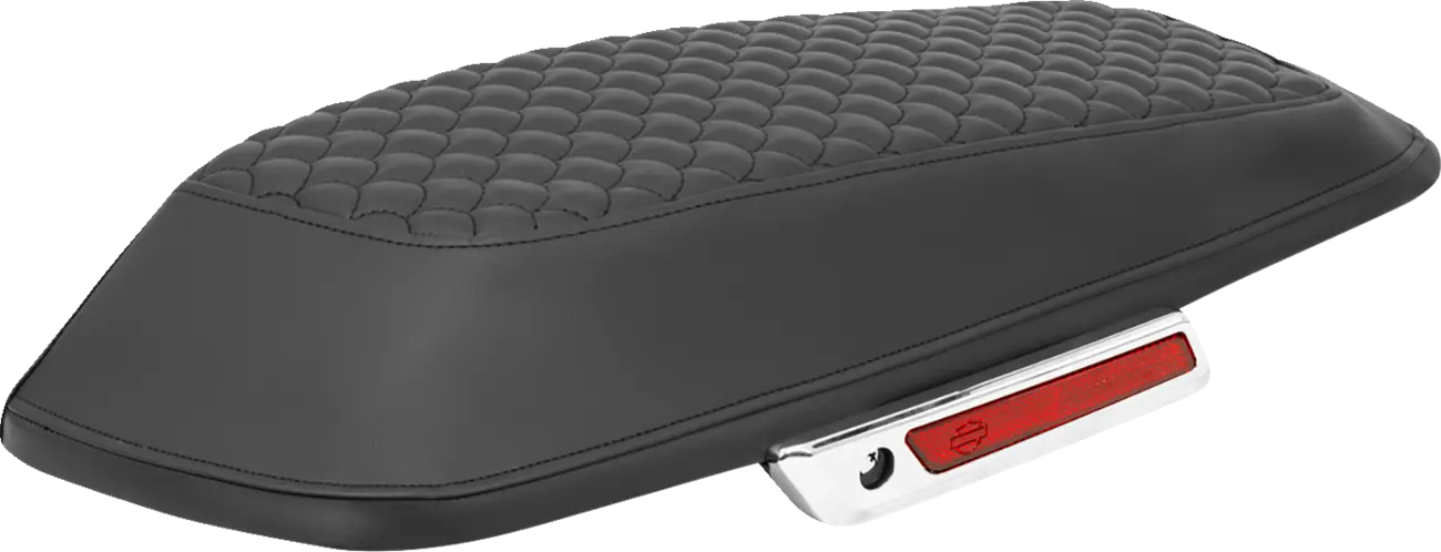 SADDLEMEN Saddlebag Cover för FLTR/FLHX 23-25 bild 1 PMMEDIA:599e21e7ff08859c