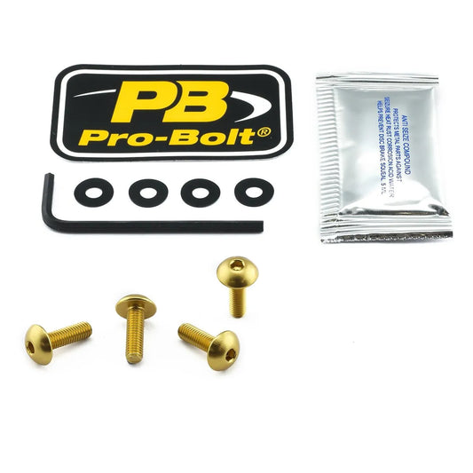 PRO BOLT Aluminium Skruvkit för Skärm bild 1 PMMEDIA:3b646830098be80b
