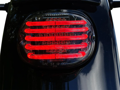 CUSTOM DYNAMICS ProBEAM Integrerad LED Baklykta med Blinkers bild 3 PMMEDIA:f7a99bf6079450b9