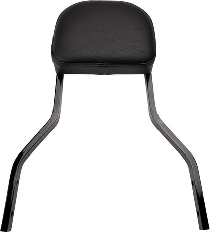 Cobra Detachable Backrest Kit Sissybars bild 18 PMMEDIA:612c87ec596ac6ce
