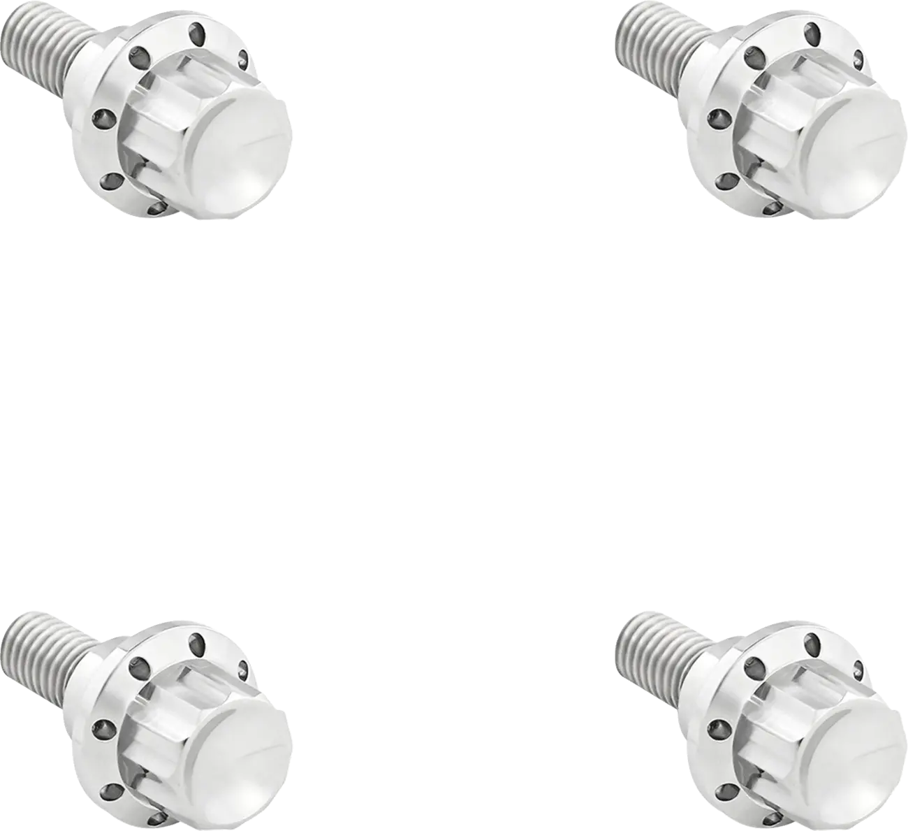 Arlen Ness Windshield Titanium 12-Point Bolt Kit Monteringssats fordonsanpassade bild 3 PMMEDIA:864ae8f7c9f4efa2