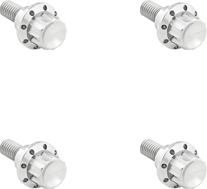 Arlen Ness Windshield Titanium 12-Point Bolt Kit Monteringssats fordonsanpassade bild 3 PMMEDIA:864ae8f7c9f4efa2