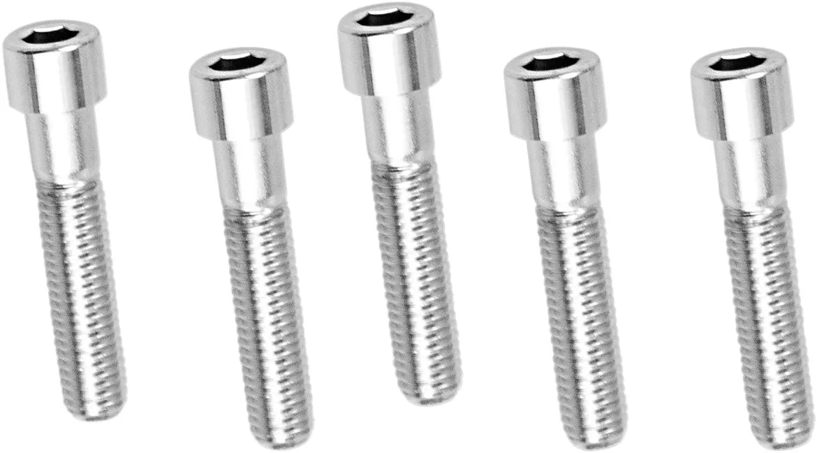 Drag Specialties Replacement Socket-Head Bolts Monteringssats sortiment bild 13 PMMEDIA:01d79b4a2f65bb3c