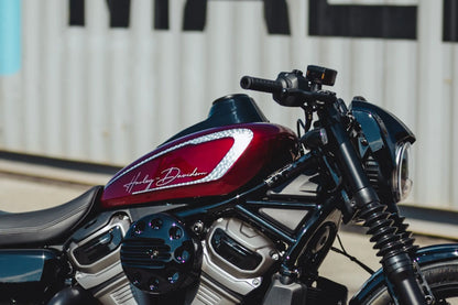 CULT WERK Dash Cover för Harley bild 3 PMMEDIA:4b5e896694b9e911