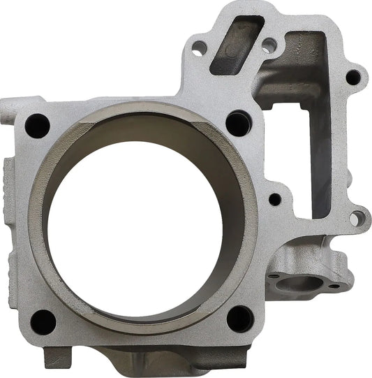 CYLINDER WORKS Standard Motorcylinder TERYX Bak bild 3 PMMEDIA:ab0a6cfefbf2ed2b