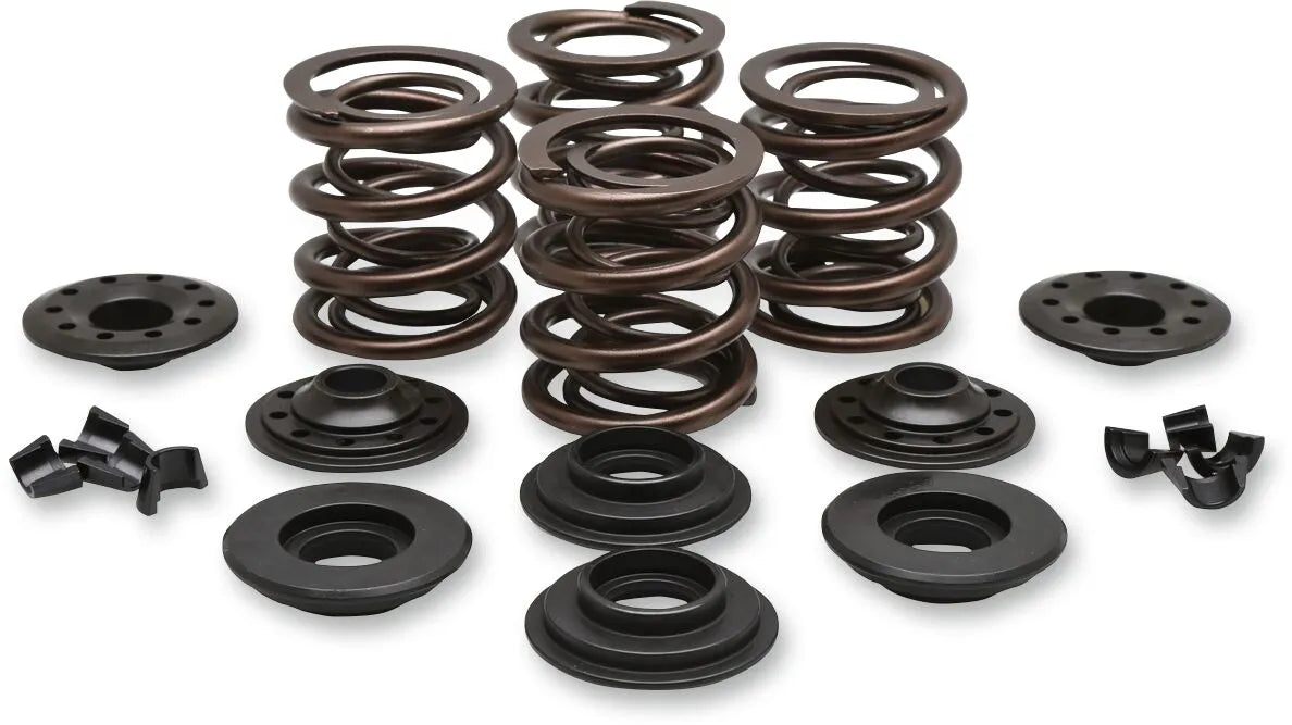 KIBBLEWHITE OEM Ventilfjäder Kit 66-83BT bild 1 PMMEDIA:805312c7982b8e02