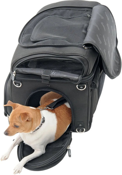 SADDLEMEN Pet Voyager bild 14 PMMEDIA:20d47d64ddc2b077