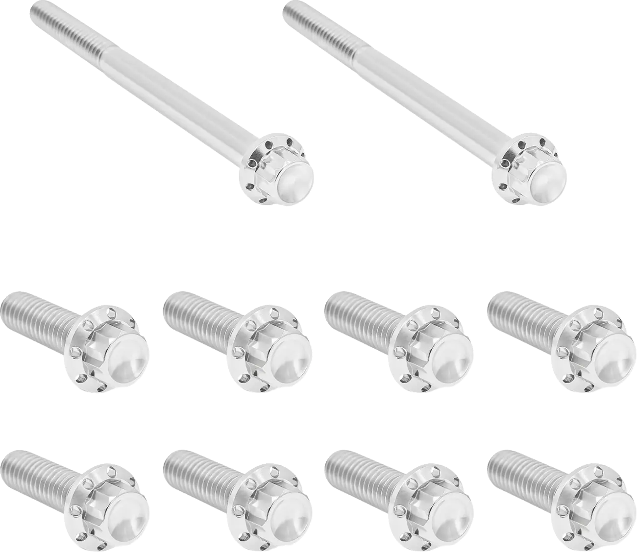 Arlen Ness Transmission Side Cover & Trap Door Titanium 12-Point Bolt Kit Monteringssats fordonsanpassade bild 2 PMMEDIA:85d05daaf41bb1b5