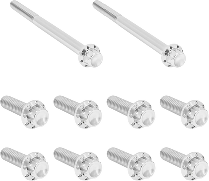 Arlen Ness Transmission Side Cover & Trap Door Titanium 12-Point Bolt Kit Monteringssats fordonsanpassade bild 2 PMMEDIA:85d05daaf41bb1b5