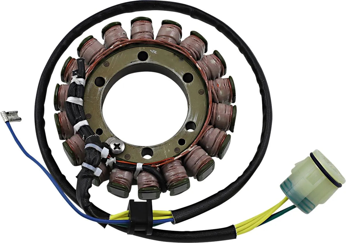 RICK'S MOTORSPORT ELECTRIC OE-stator 21-649 bild 1 PMMEDIA:b5c1068ea6de8d45