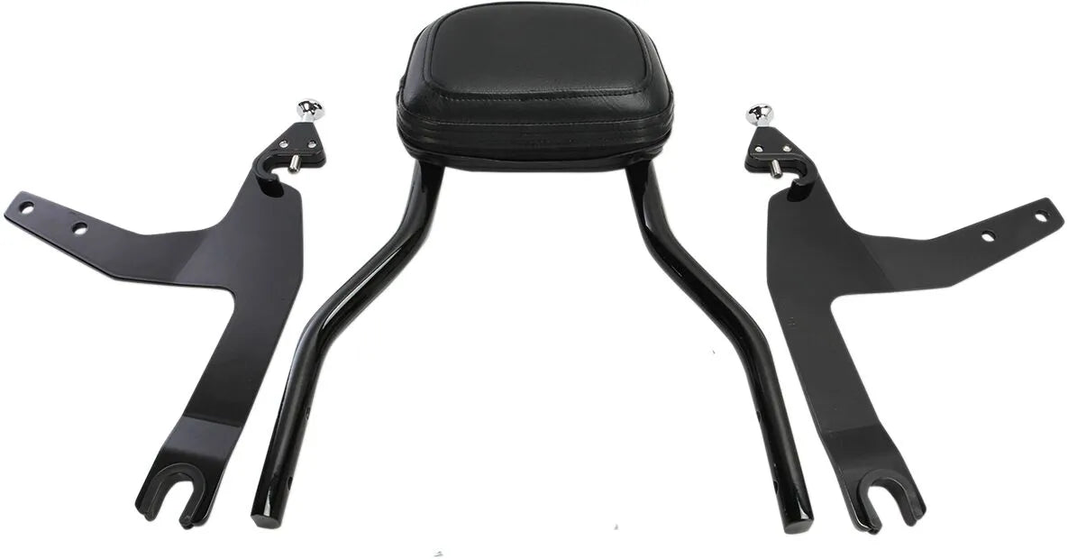 Cobra Detachable Backrest Kit Sissybars bild 2 PMMEDIA:22420fd315e8b211