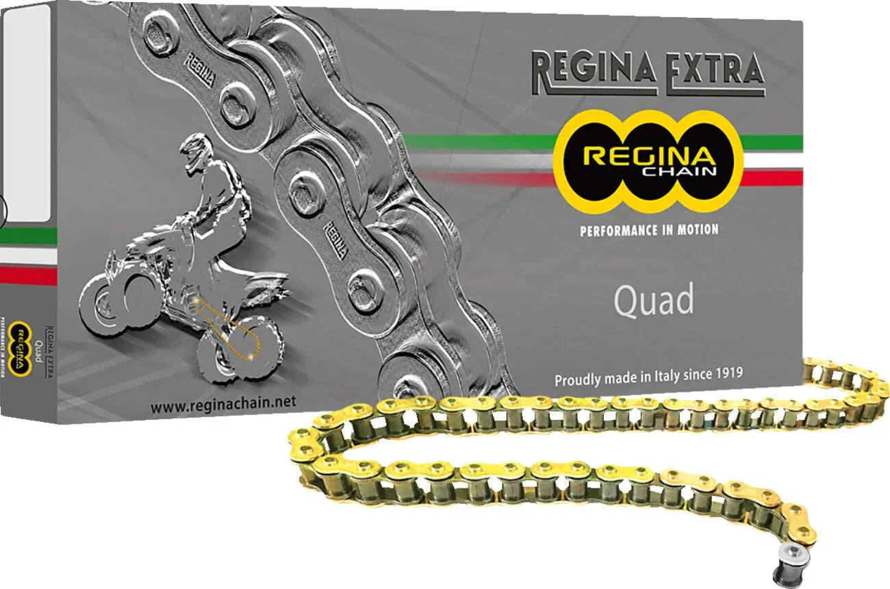 REGINA 520 QUAD Drive Chain bild 1 PMMEDIA:85db9583198d63a7
